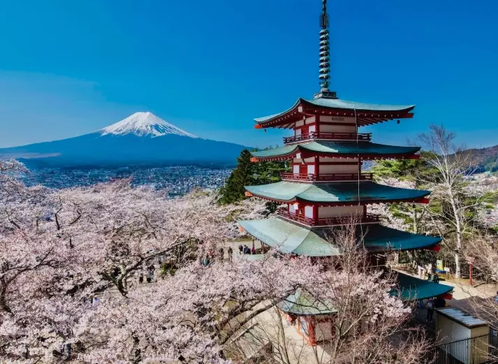 best time to visit tokyo