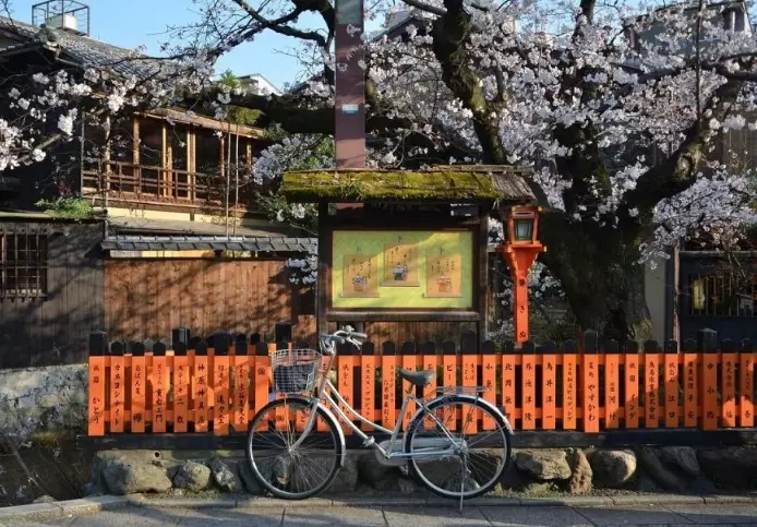 monthly budget Japan