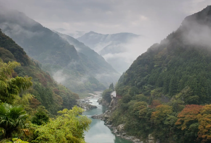 things to do in shikoku