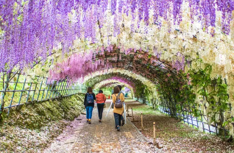 fukuoka travel guide