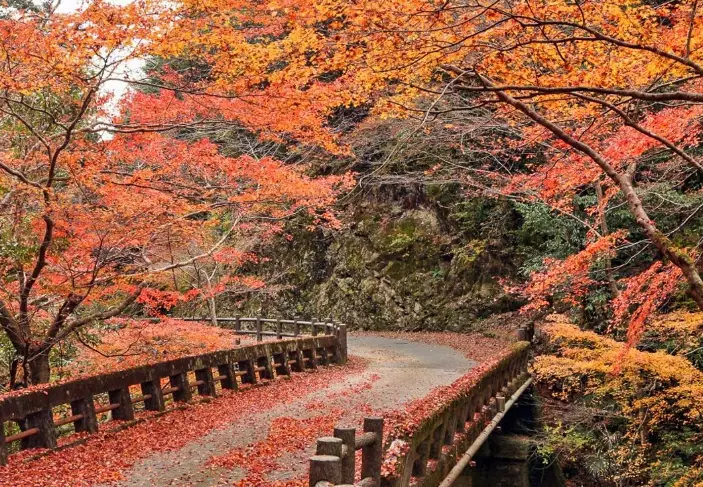 shikoku travel guide