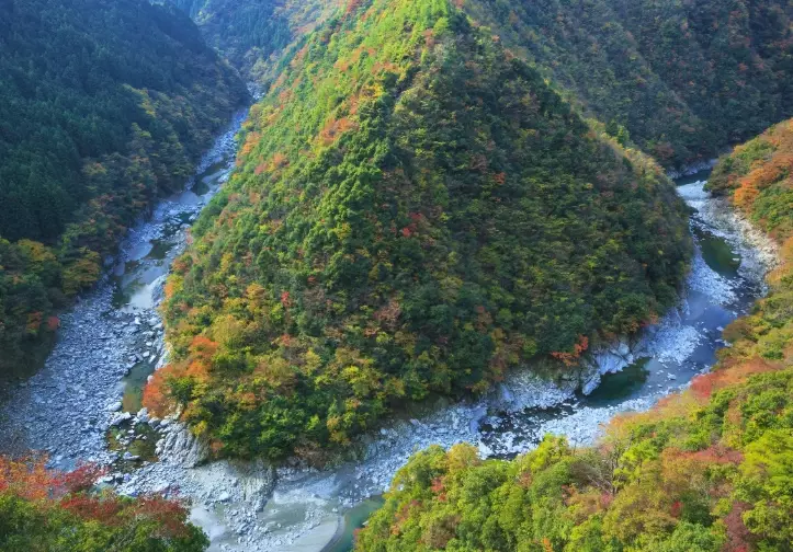 things to do in shikoku