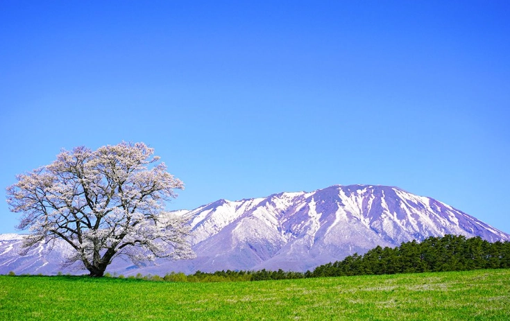 things to do in Iwate