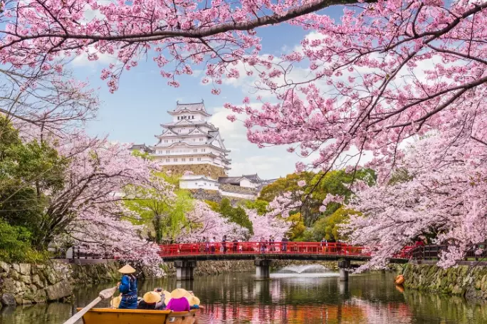 best sakura spots in Japan best sakura spots in Japan