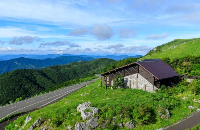 kochi food kochi food