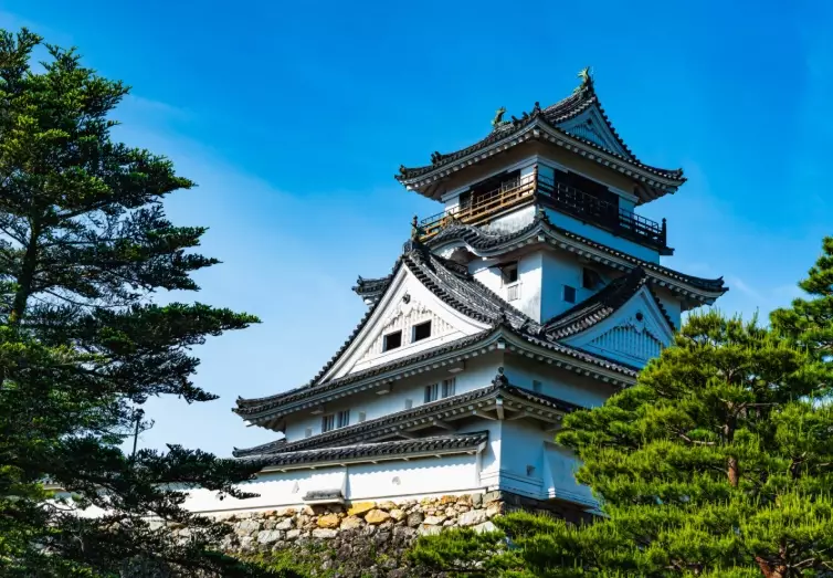 kochi castle kochi castle