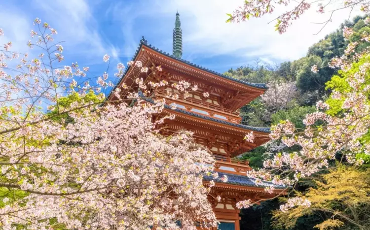 Fukuoka travel guide