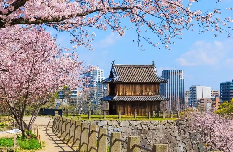 what to do in fukuoka