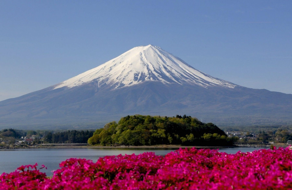 things to do fuji japan