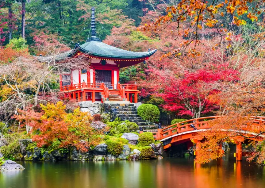 Japan travel checklist