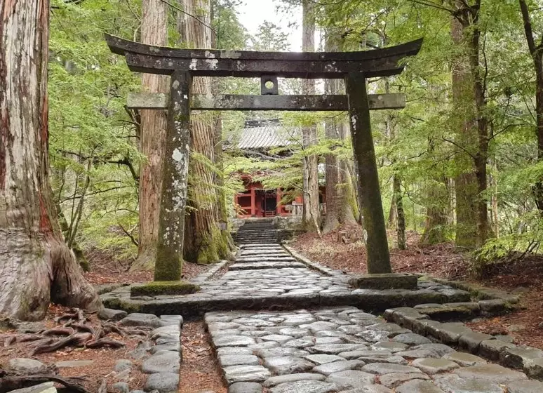 Japan travel checklist