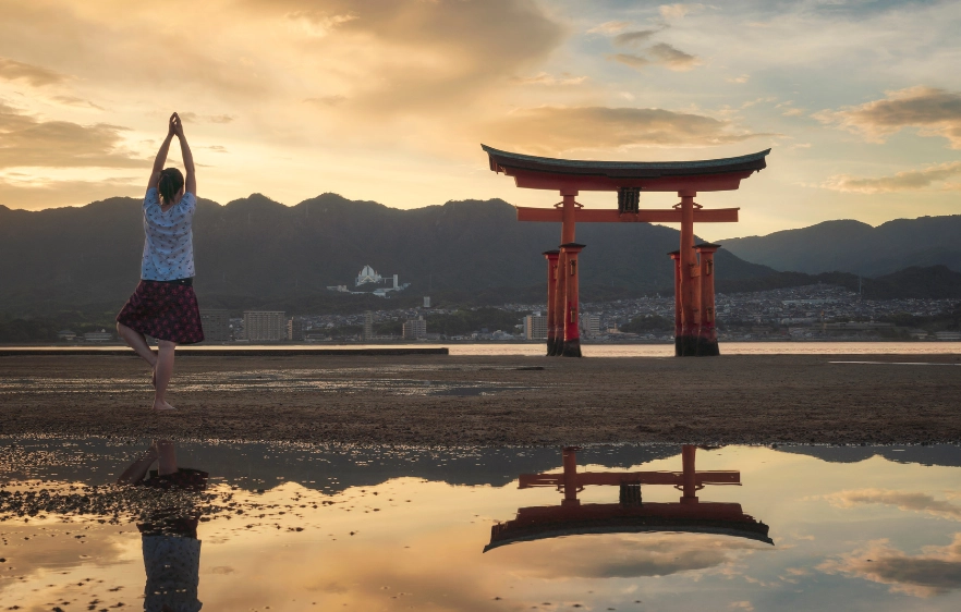 Japan tourist visa Japan tourist visa