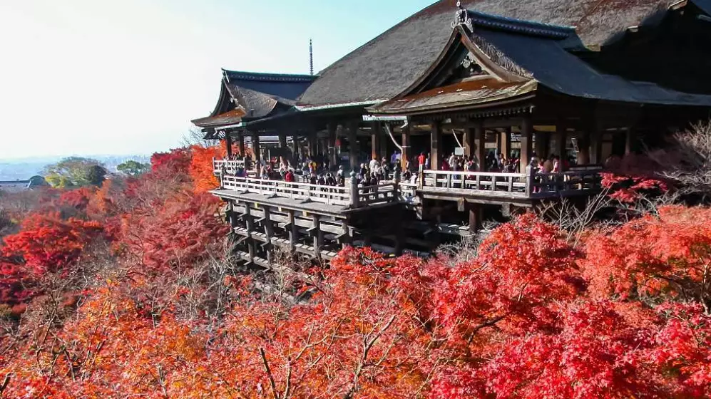 Kyoto travel tips