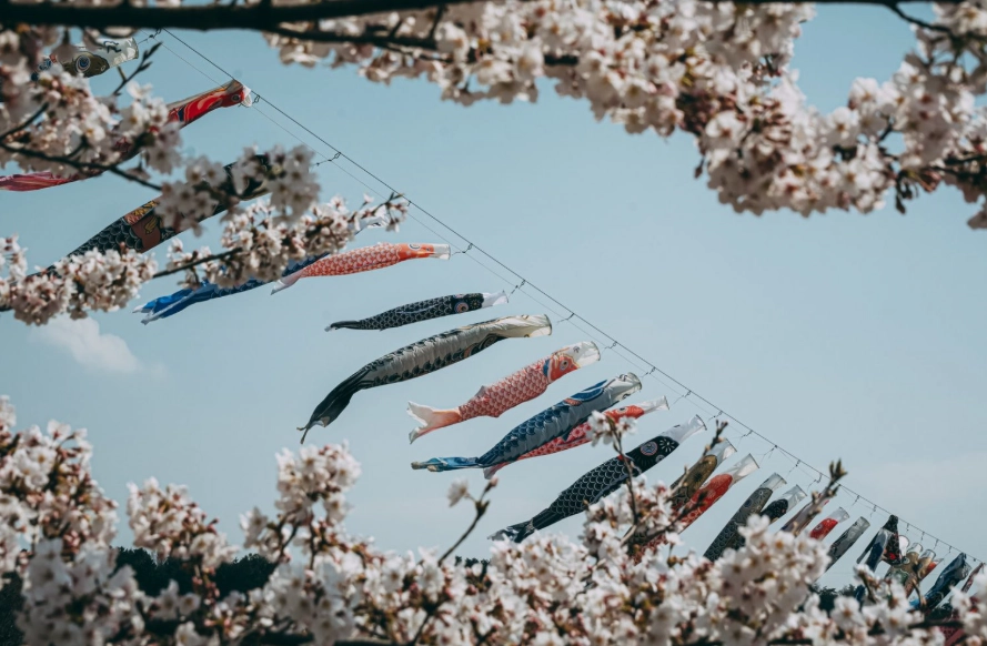 Japan travel planning