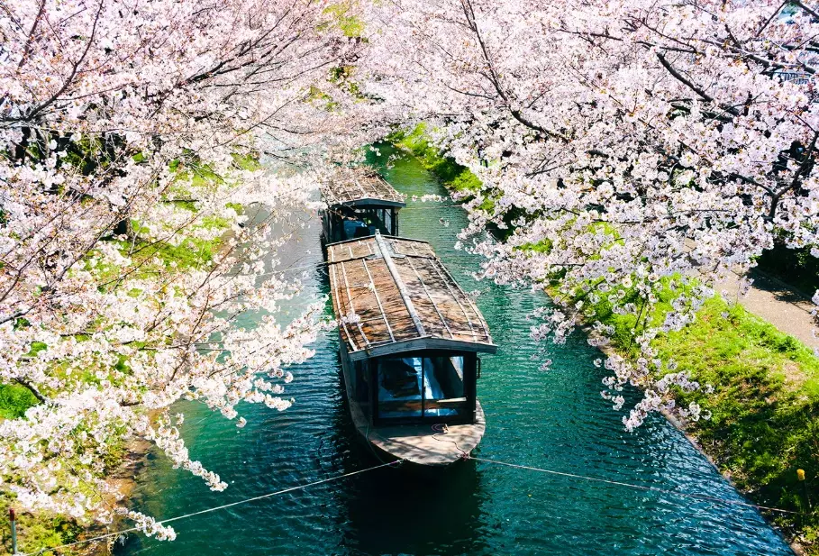 Japan trip expenses Japan trip expenses