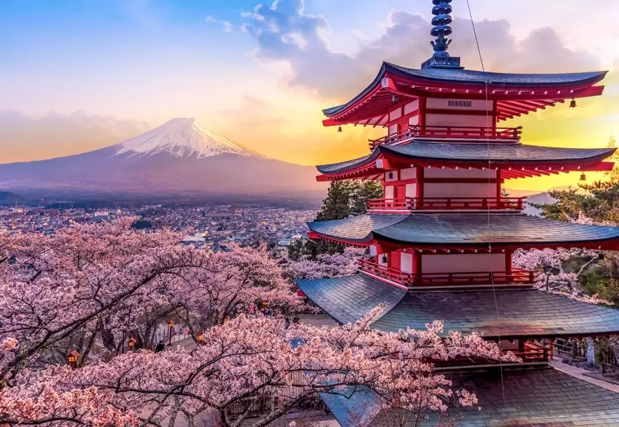 how much does Japan cost