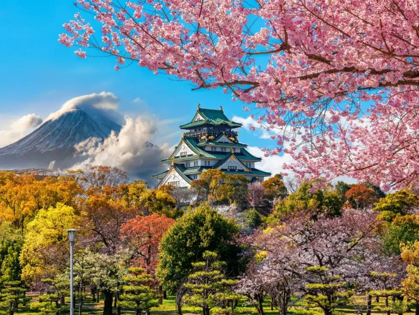 How much should a trip to Japan cost?