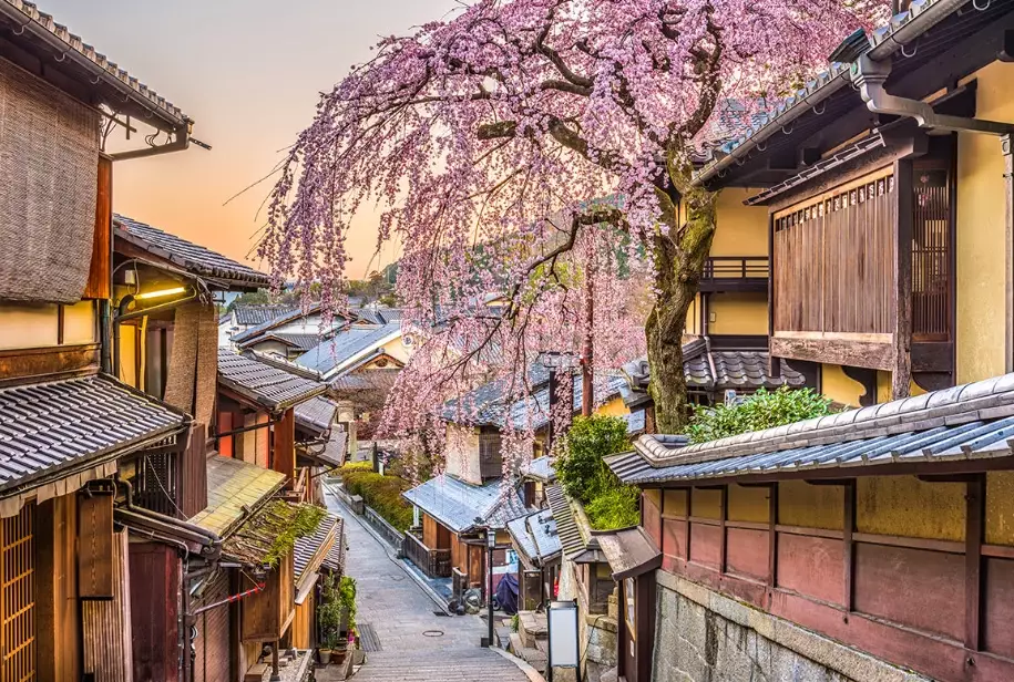 Kyoto travel guide