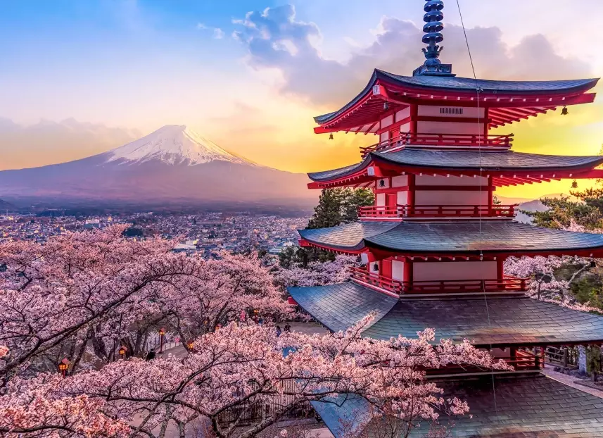 Japan solo travel tips