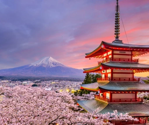 Japan visa application process
