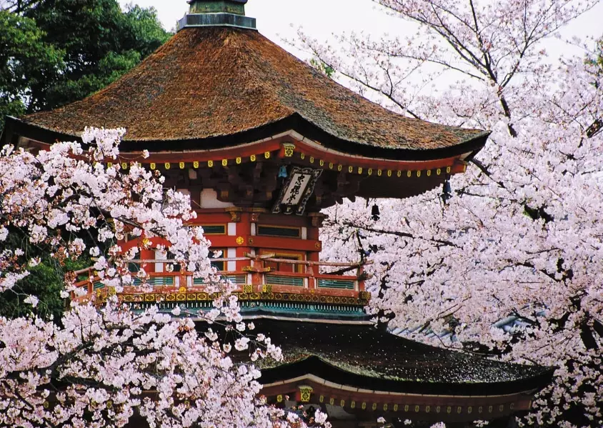 Japanese passport visa free countries