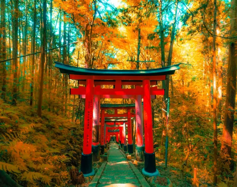 Japan immigration QR code Japan immigration QR code