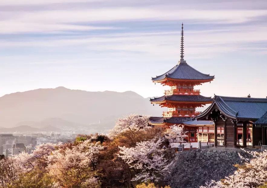 Visit Japan Web Visit Japan Web